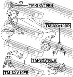 febest tmsxv10fr