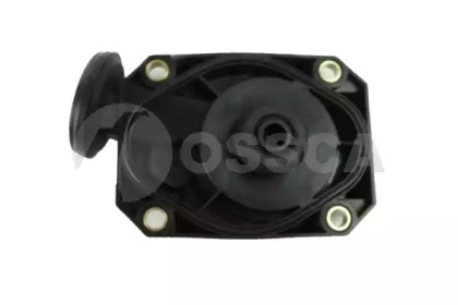 OSSCA 11903