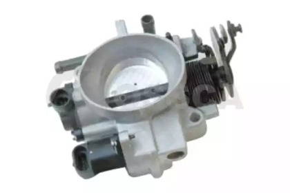 OSSCA 14371