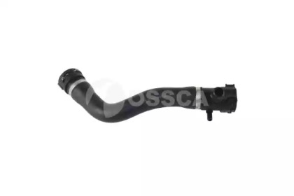 OSSCA 23231