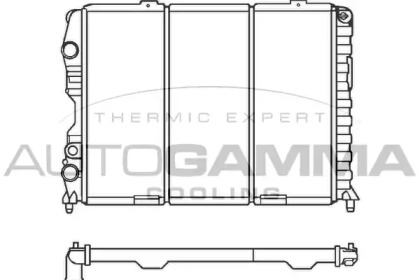 AUTOGAMMA 100029