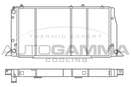 AUTOGAMMA 100043