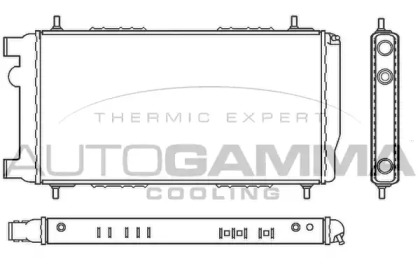 AUTOGAMMA 100073