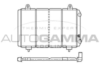 AUTOGAMMA 100176