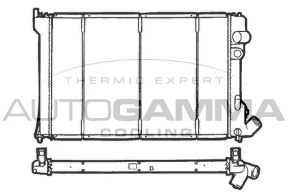 AUTOGAMMA 100211