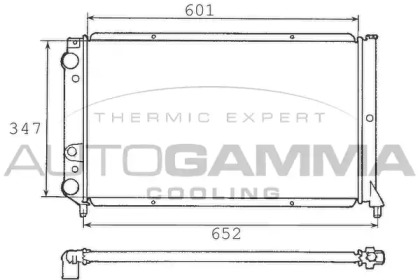 AUTOGAMMA 100300