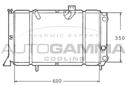 AUTOGAMMA 100305