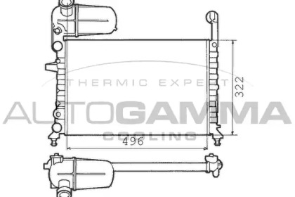 AUTOGAMMA 100307