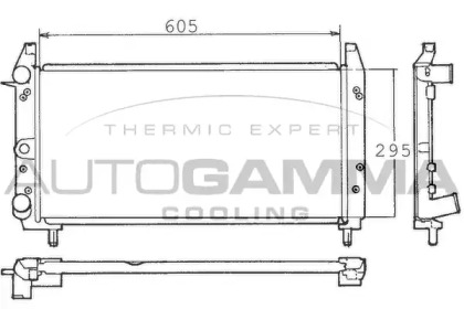 AUTOGAMMA 100319