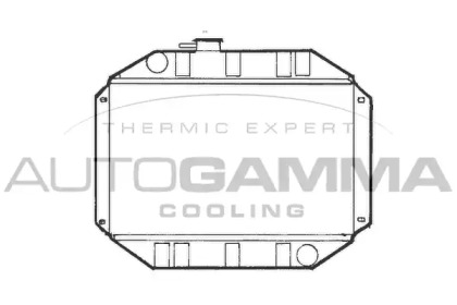 AUTOGAMMA 100320