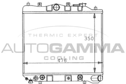 AUTOGAMMA 100484