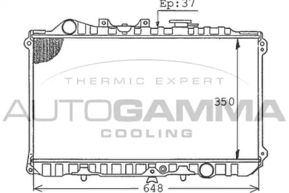 AUTOGAMMA 100505