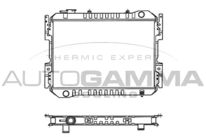 AUTOGAMMA 100509