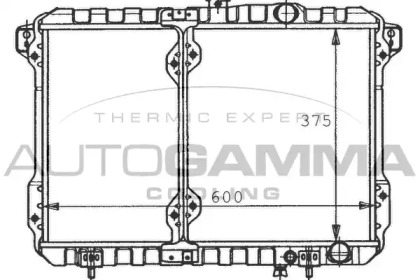 AUTOGAMMA 100581