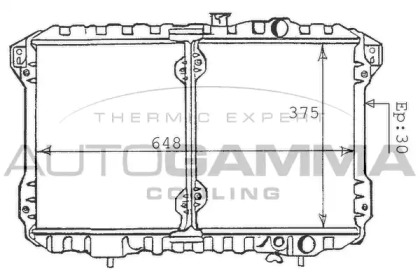 AUTOGAMMA 100584