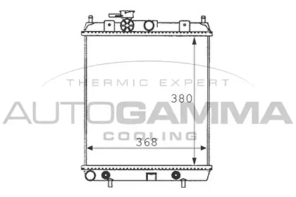 AUTOGAMMA 100628