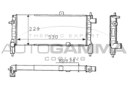 AUTOGAMMA 100706