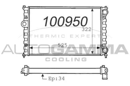 AUTOGAMMA 100950