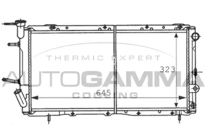 AUTOGAMMA 100973