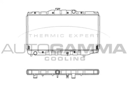 AUTOGAMMA 101008