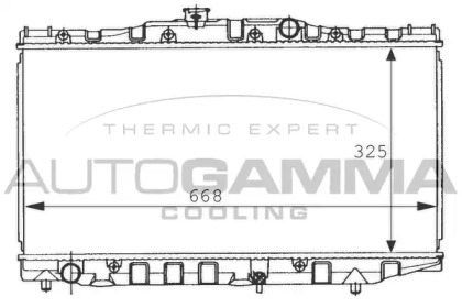 AUTOGAMMA 101013