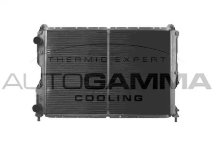 AUTOGAMMA 101140