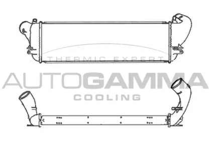 AUTOGAMMA 101480