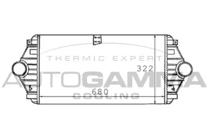 AUTOGAMMA 101491