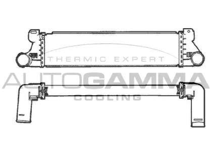 AUTOGAMMA 101504