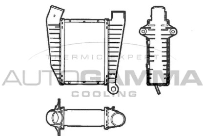 AUTOGAMMA 101510