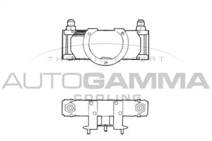 AUTOGAMMA 101519