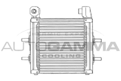 AUTOGAMMA 101521