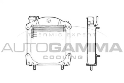 AUTOGAMMA 101547