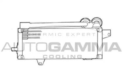 AUTOGAMMA 101550