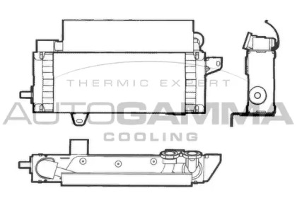 AUTOGAMMA 101552