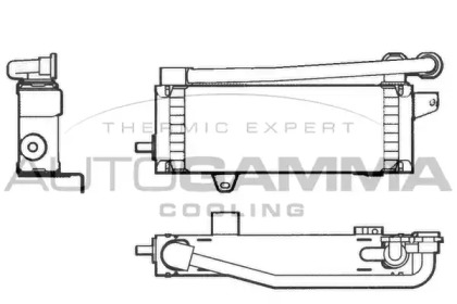 AUTOGAMMA 101553
