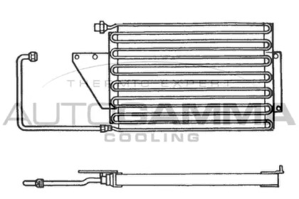 AUTOGAMMA 101592