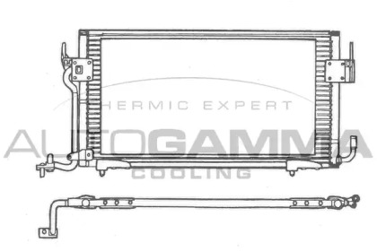 AUTOGAMMA 101595