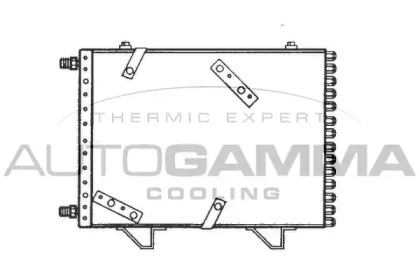 AUTOGAMMA 101599