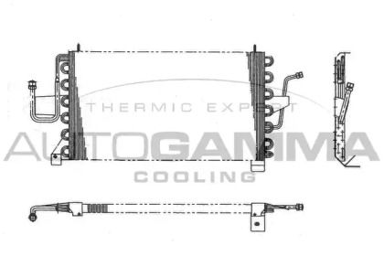 AUTOGAMMA 101600