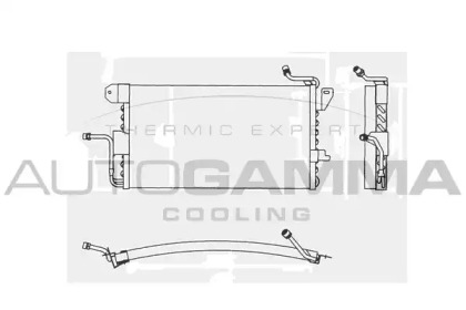 AUTOGAMMA 101604