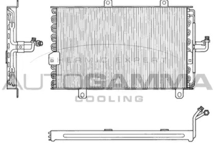 AUTOGAMMA 101605