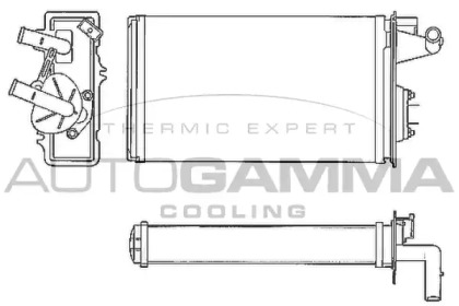 AUTOGAMMA 101621