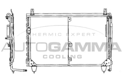 AUTOGAMMA 101704