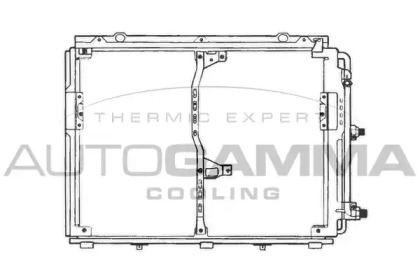 AUTOGAMMA 101705