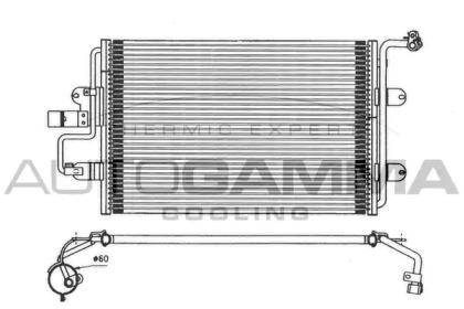 AUTOGAMMA 101720