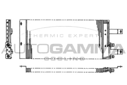 AUTOGAMMA 101824
