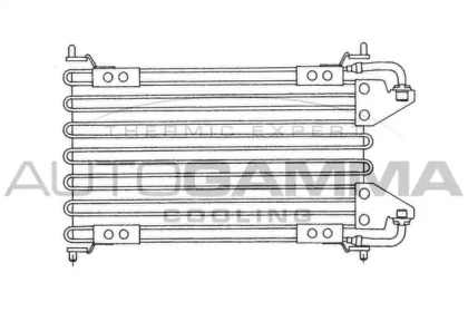 AUTOGAMMA 101838