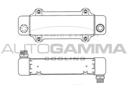 AUTOGAMMA 101867