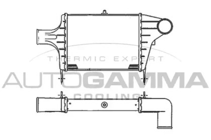 AUTOGAMMA 101890